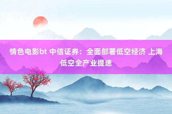 情色电影bt 中信证券：全面部署低空经济 上海低空全产业提速