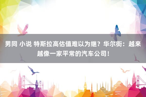 男同 小说 特斯拉高估值难以为继？华尔街：越来越像一家平常的汽车公司！