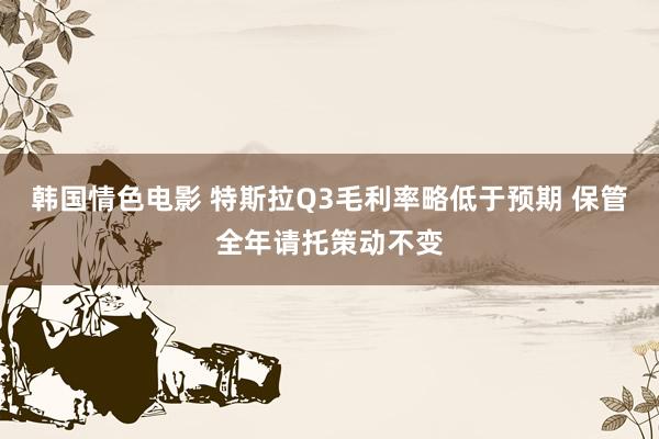 韩国情色电影 特斯拉Q3毛利率略低于预期 保管全年请托策动不变