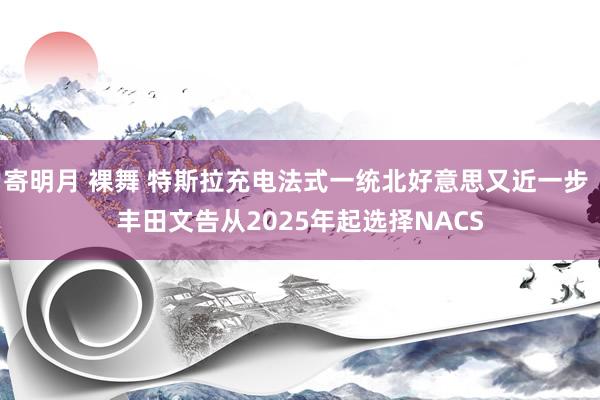 寄明月 裸舞 特斯拉充电法式一统北好意思又近一步 丰田文告从2025年起选择NACS