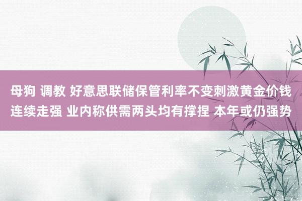母狗 调教 好意思联储保管利率不变刺激黄金价钱连续走强 业内称供需两头均有撑捏 本年或仍强势