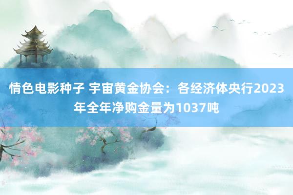 情色电影种子 宇宙黄金协会：各经济体央行2023年全年净购金量为1037吨