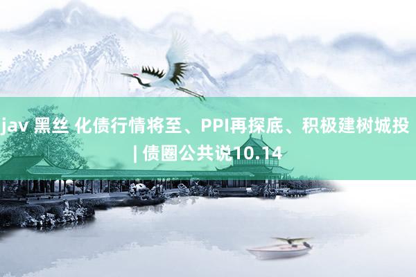 jav 黑丝 化债行情将至、PPI再探底、积极建树城投 | 债圈公共说10.14