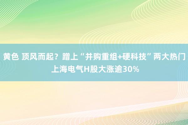 黄色 顶风而起？蹭上“并购重组+硬科技”两大热门 上海电气H股大涨逾30%