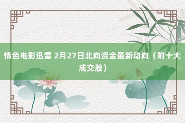 情色电影迅雷 2月27日北向资金最新动向（附十大成交股）