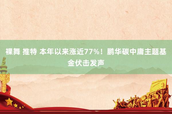 裸舞 推特 本年以来涨近77%！鹏华碳中庸主题基金伏击发声