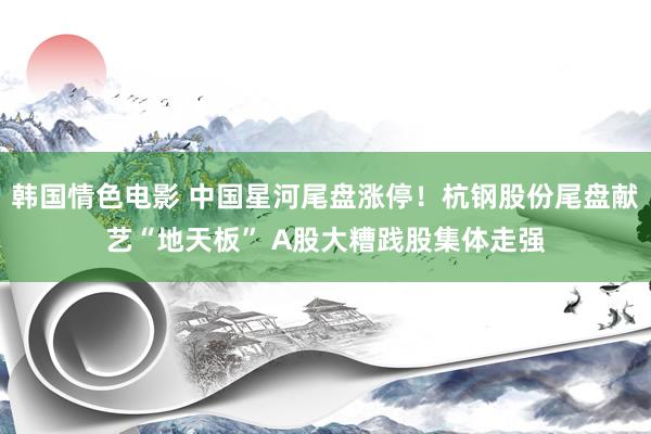 韩国情色电影 中国星河尾盘涨停！杭钢股份尾盘献艺“地天板” A股大糟践股集体走强