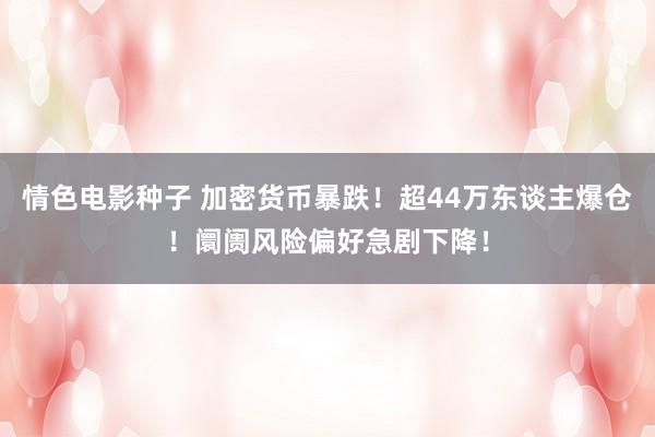 情色电影种子 加密货币暴跌！超44万东谈主爆仓！阛阓风险偏好急剧下降！