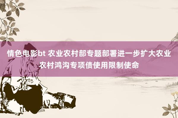 情色电影bt 农业农村部专题部署进一步扩大农业农村鸿沟专项债使用限制使命