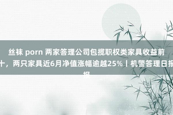 丝袜 porn 两家答理公司包揽职权类家具收益前十，两只家具近6月净值涨幅逾越25%丨机警答理日报